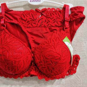 Elegant Red Lace Padded Bra & Panty Set – Romantic & Stylish Lingerie
